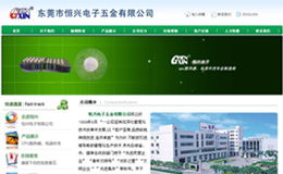 東莞專業(yè)網(wǎng)站設(shè)計(jì)與建設(shè) 耐特網(wǎng)絡(luò)公司運(yùn)營(yíng)管理解析