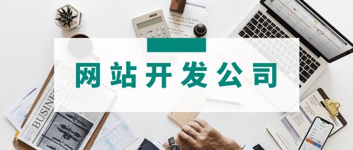 3家專業(yè)網(wǎng)站開發(fā)公司簡介 哪家的網(wǎng)站建設(shè)服務(wù)更適合你的運(yùn)營管理需求？