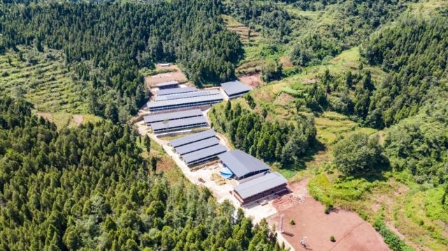 湖州吳興·廣元青川 山海情深，攜手奔康的網(wǎng)絡(luò)開發(fā)建設(shè)之路