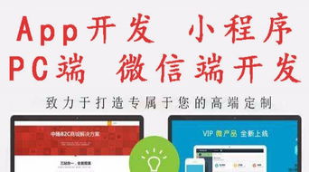 全渠道數(shù)字化時(shí)代 從B2C商城到微信小程序的全方位網(wǎng)絡(luò)開發(fā)建設(shè)方案
